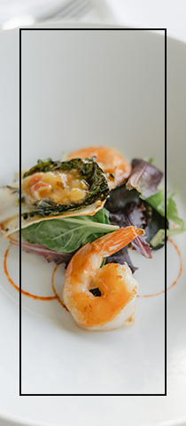 shrimp-2