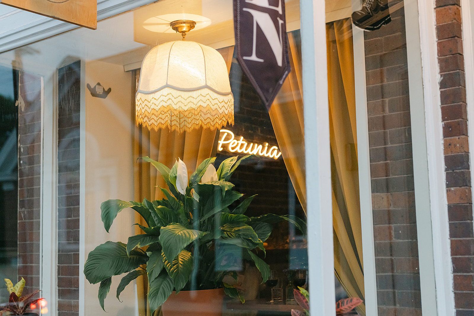 Looking into the front window of a restaurant, you see a hanging lamp with fringe, a plant, and a sign that reads 'Petunia' in neon lights.